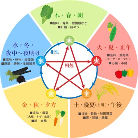 五行 動物|五行